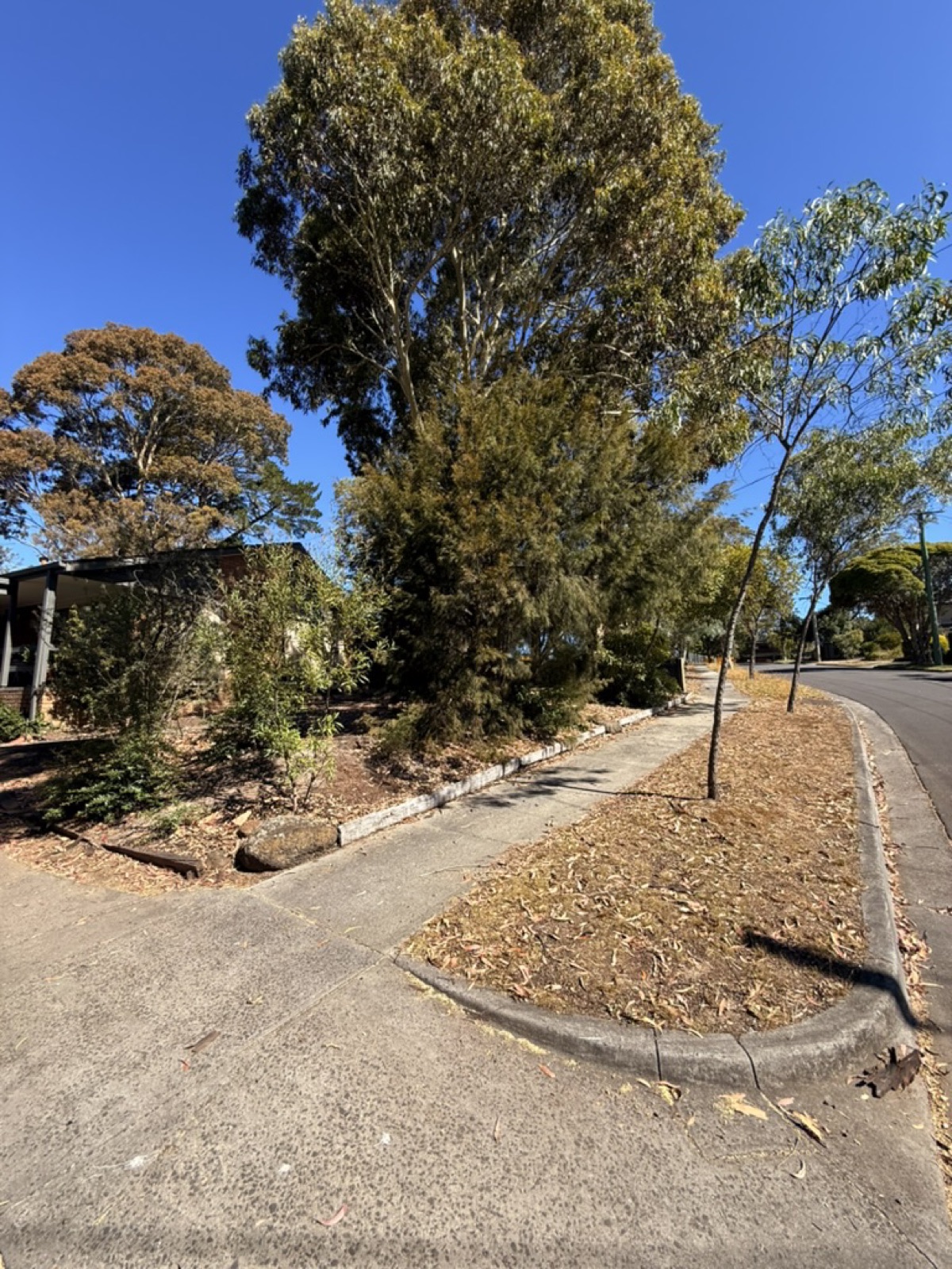Existing street frontage at the Blackburn South home